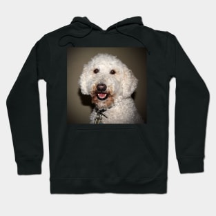 Jake The Labradoodle Hoodie